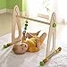 HABA Color Fun Play Gym - Wooden Activity Center with Adjustable Height, Sliding Discs and Dangling Frog