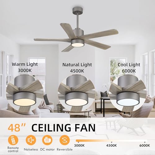 Image of WINGBO 48 Inch DC Ceiling Fan with Lights and Remote Control, 5 Carved Solid Wood Blades, 6-Speed Noiseless Reversible DC Motor, Indoor Ceiling Fan in Graphite Finish with Gray Blades