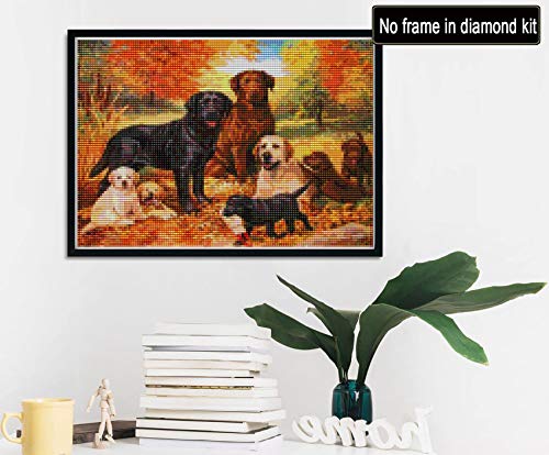 Reofrey 5d Hond Diamond Painting Volwassenen Beginners Kits, DierenDiamant Schilderij Kits Kristal Strass Borduurwerk… - Image 3