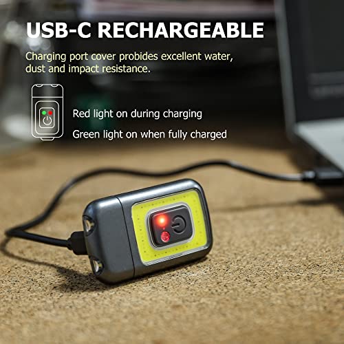 EASYmaxx Running Light, Rechargeable Dog Walking Light, Clip on LED