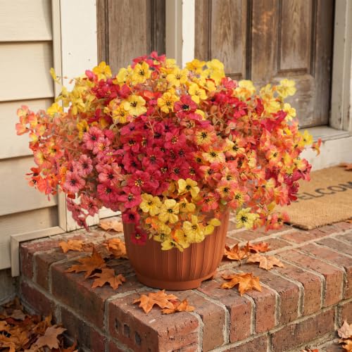 UJROQI Artificial Violet Mums Flowers for Autumn Outdoor Decor, 12-Stem Multi Pack Faux Fall Flowers for Front Porch, Patio, Garden & Large Planters, Fade Resistant Silk Fake Flowers - image 5
