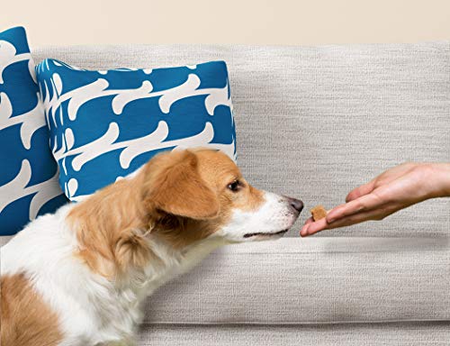 8in1 Meaty Treats, gefriergetrocknete Hunde Leckerlis aus Ente, 100% Fleisch, getreidefrei und ohne Zucker, 50 g Beutel (Packung mit 2)