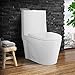 Fine Fixtures Dual-Flush Elongated One Piece Toilet Bowl - Soft Close Seat with High Efficiency Dual Flush in Whiteâ€¦