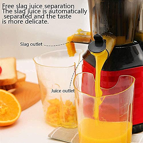 ERoomQ Juicer Machines,Cold Press Juicer Machine Slow Masticating Juicer Quiet Motor with Reverse Function and Non-Slip Feet Fresh Vegetable and Fruit Juice Extractor BPA Free,