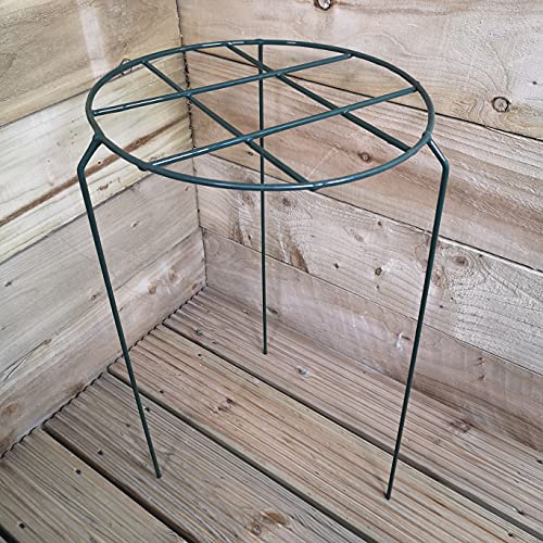 Samuel ALEXANDER Pack of 3 Urban Dark Green Metal Herbaceous Garden Plant Support Grow Through Medium 50cm x 30cm