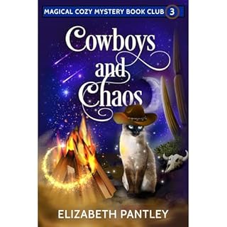 Cowboys and Chaos Audiolibro Por Elizabeth Pantley arte de portada