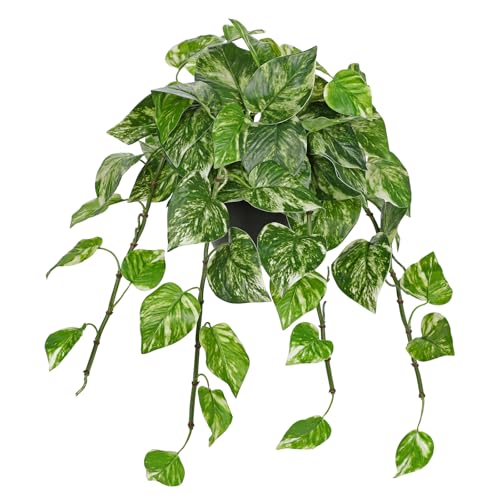 Hollyone Artificial Hanging Pothos Plants Potted Fake Ivy Faux Pothos Vine Leaves Hanging Greenery Plant in Black Pot for Home Indoor Tabletop Bedroom Patio Shelf Office Decor