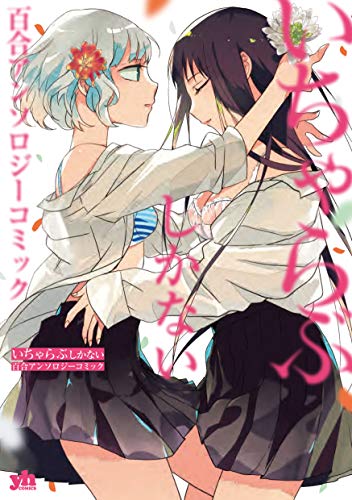 クイーンズブレイド　南崎いく　hide＆seek　コミック　イラストカード　3 Amazon.com: 南崎 いく: books, biography, latest update