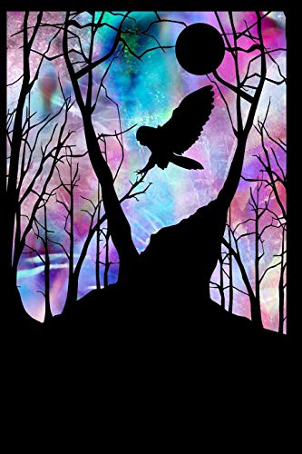 Owl In Flight: At Night (The Elm)