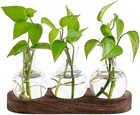 Hewory Propagation Station Propagators For Plants: Desktop Glass Terrarium Bulb Vase Gifts For Plant Lovers - Small Glass Vase Terrarium Jar With Wood Tray For Houseplants Cuttings Windowsill, 3pcs