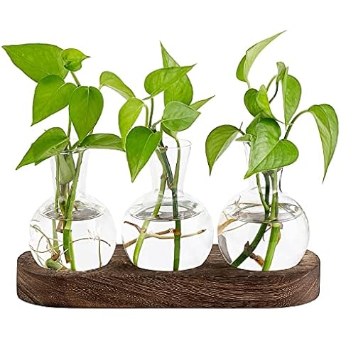 Mkono Glass Plant Propagation Station Cover