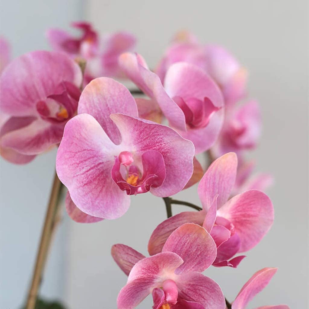 Künstliche Blumen, künstliche Blume in Vase, künstliche Blume mit 5 Köpfen, rosa Phalaenopsis, künstliche Blume für Zuhause, Hochzeit, Party, Tischdekoration, Plastikblume, Heimdekoration