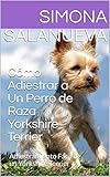 mejor comida para yorkshire terrier  Cómo Adiestrar a Un Perro de Raza Yorkshire Terrier : Adiestramiento Fácil de un Yorkshire Terrier