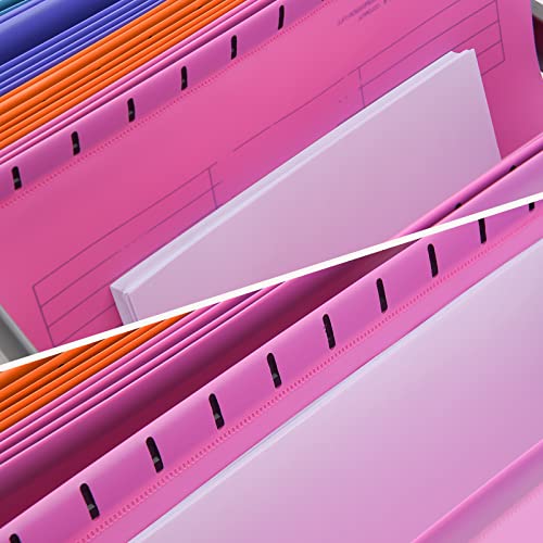 Hiziwimi 15 Stück PVC-Aktenschrank A4 Hängeregistraturen mit Tabs und Einsätzen für Büro, Schule, Schreibtisch, Aktenaufbewahrung
