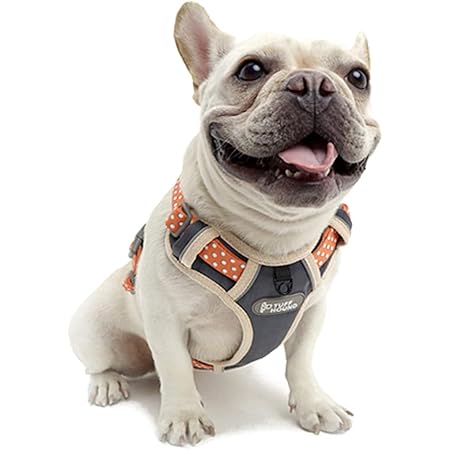 Amazon おしゃれ 高機能性 J C日本正規店 犬 ハーネス 犬用ハーネス 中型犬 大型犬 超大型犬 小型犬 3m反射 人気ギフト 簡単装着 通気性 丈夫 老犬介護 スポーツ グレー S J C Paradise ハーネス 通販