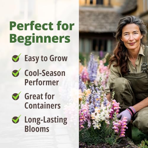 Image of HOME GROWN Snapdragon Fairy Seeds - 10000 Snapdragon Seeds for Spring Planting 2026, Dwarf Plants, Long Blooming Flower Seed for Garden Beds, Pollinator Friendly (Antirrhinum Majus)