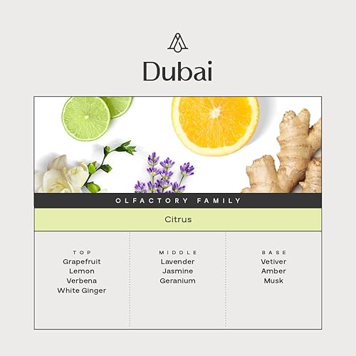 Miniatura 3 de AromaPlan Hotel Scents Dubai, 1.7 fl oz (1.7 fl oz), aceite difusor de aroma y fragancia de hotel de lujo para el hogar, aceite difusor de hotel