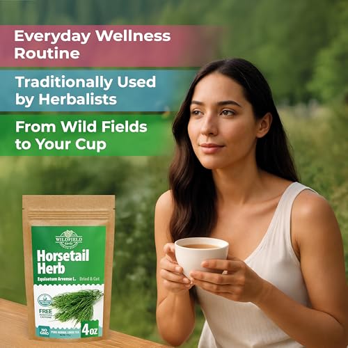 Image of 4 oz. Horsetail Herb Horsetail Tea Cola De Caballo Hierba Horse Tail (Equisetum Arvense) - 113g Herb Tea Horse Tail