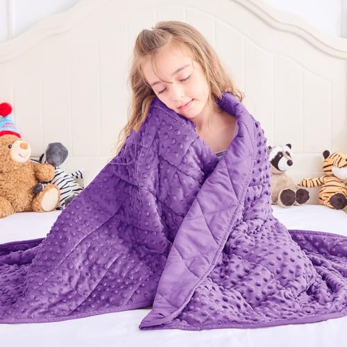 Image of Purple Weighted Blanket 7lbs, 40 inchx60 inch, Breathable Cooling Minky Heavy Throw Blanket for 60-90lbs, Soft Winter Thick Big Blankets Weighted Comforter Gift