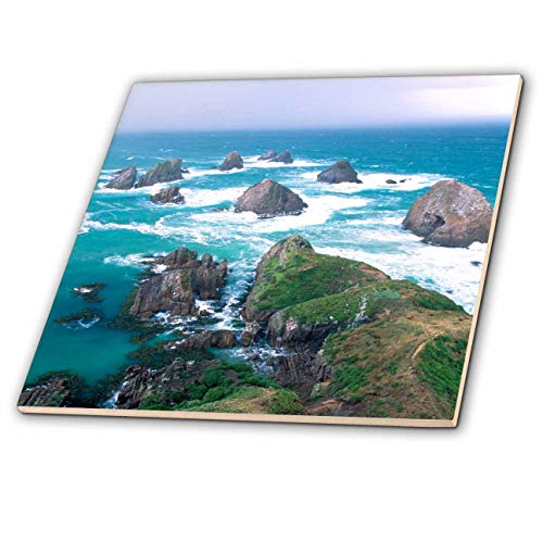 3dRose New Zealand, South Island, Nugget Point 12 Inch Ceramic Tile