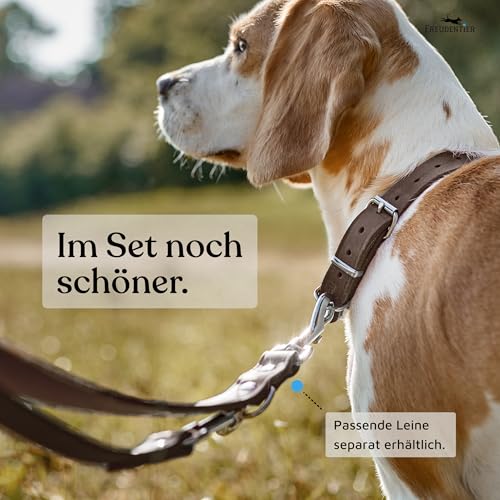 FREUDENTIER Hundehalsband Leder für kleine bis mittelgroße Hunde - Alsterufer Kollektion - Lederhalsband aus Fettleder - Handmade in EU (Chocolate, 33-44,5cm)
