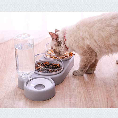 RAYTHEONER Ciotola Gatti Rialzata,3 in 1 Doppio