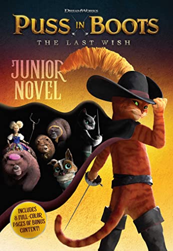 Book cover for The Last Wish: Junior Novel
