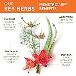 Himalaya MenstriCare for PMS, Menstrual Cramp Relief, Womens Health & Balanced Hormone Support, Herbal Supplement, Includes Shatavari, 800 mg, 120 Capsules - Image 4
