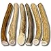 WhiteTail Naturals Antlers for Dogs (6 Pack) Deer Antler Dog Chew Bones for Small Aggressive Chewers - Long Lasting Whole Antlers - Hand Trimmed & Naturally Shed