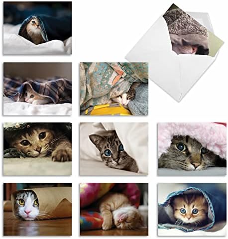 The Best Card Company - 10 Adorable Blank Cat Cards (4 x 5.12 Inch) - Cute Pet Kittens, Assorted Bulk Notecard Set - Cat You See Me Now M1543BN