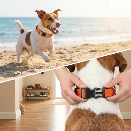 Collar reflectante para perro tamaño S color naranja miniatura 4