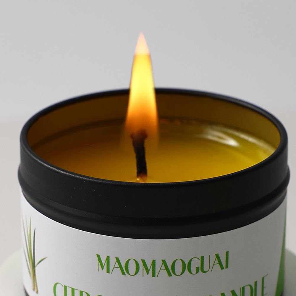 Candele alla citronella per esterni, candela di emergenza a lunga durata di 12 ore, candela da campeggio di sopravvivenza in scatola, candele portatili antivento per campeggio, escursionismo, picnic