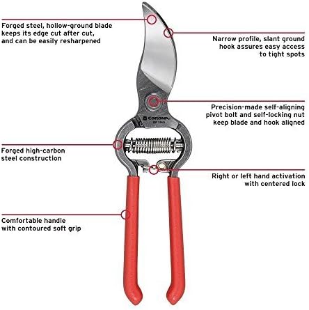 Miniatura 2 de Corona BP3160 Podadora de derivación de corte clásico de 3/4"