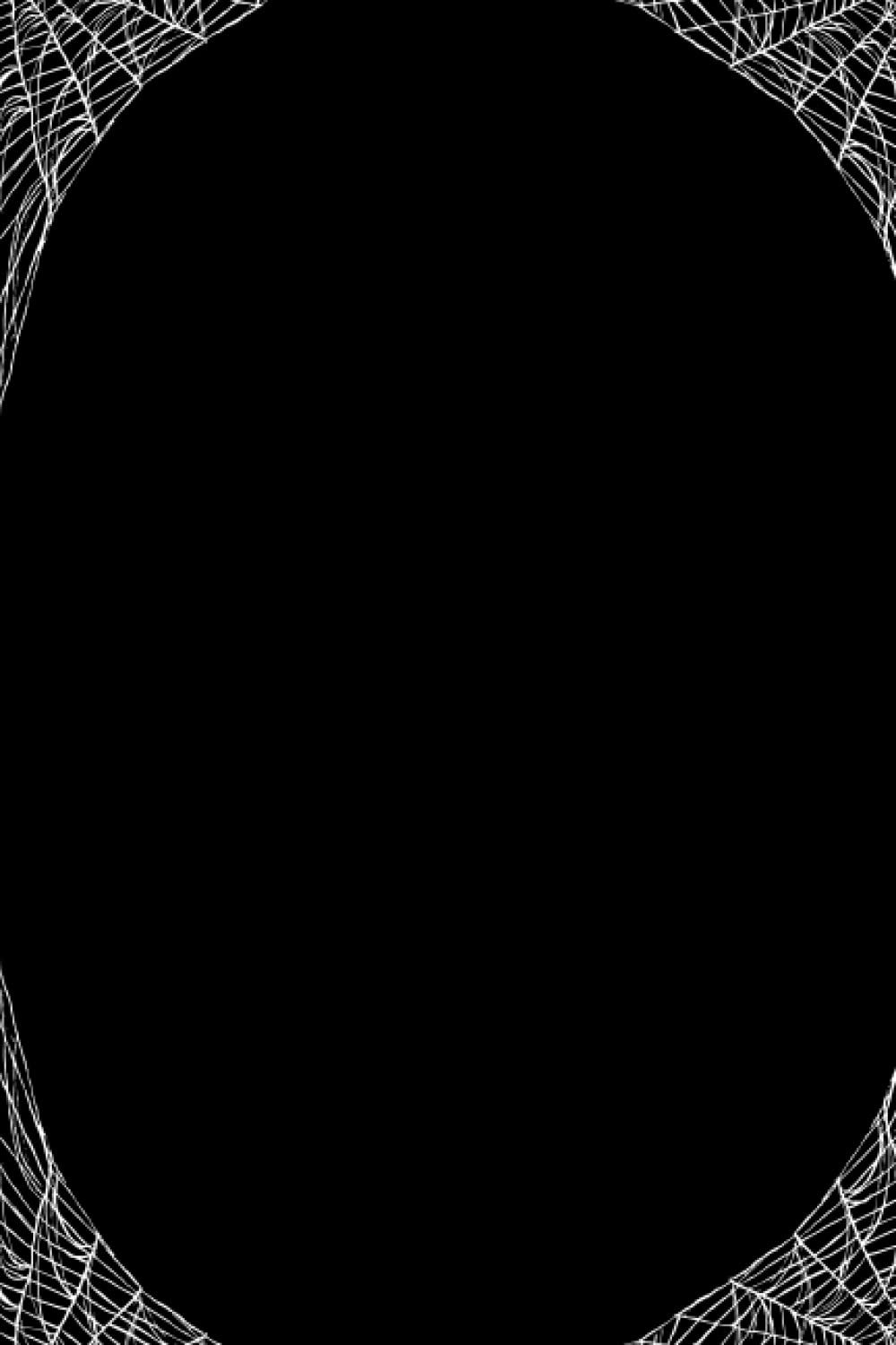 Spider web notebook: Spiderweb