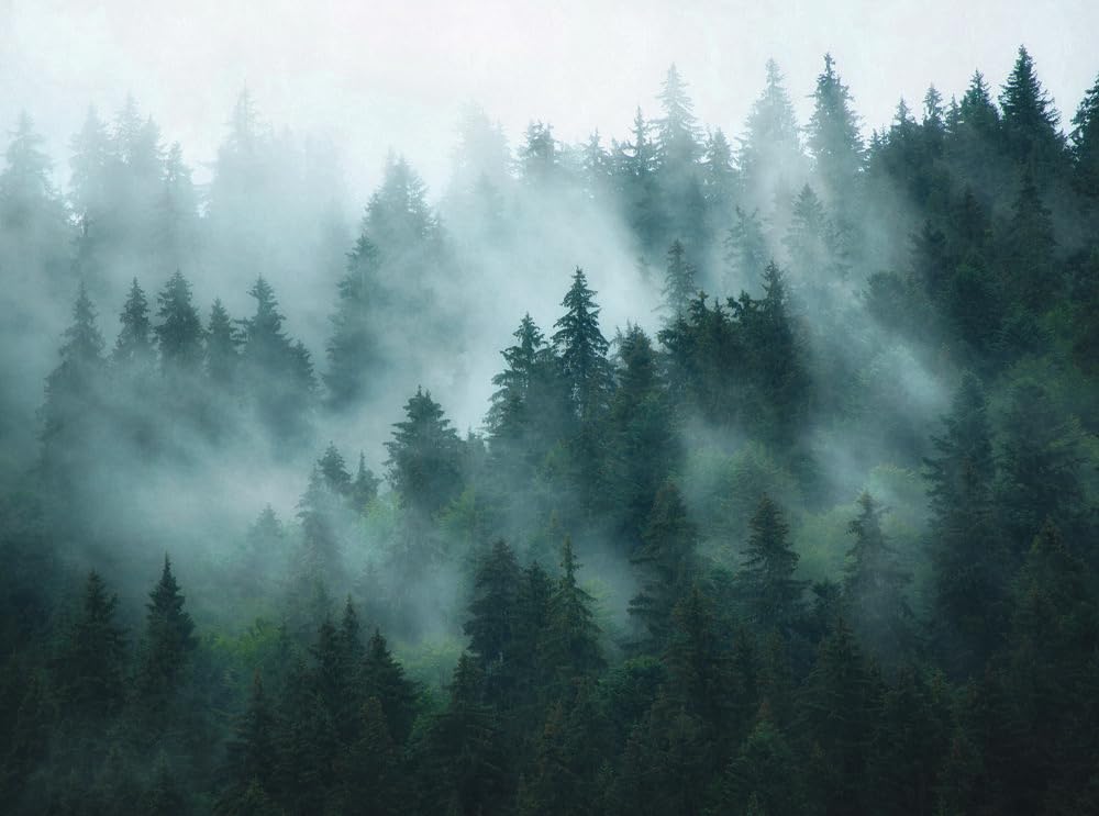 Livingwalls Fototapeta natura w kolorze zielonym, niebieskim, petrol – wysokiej jakości tapeta flizelinowa 398981 z motywem na 3,71 m x 2,80 m – Made in Germany