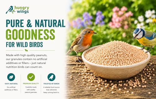 Granuels d'arachides de qualité supérieure pour oiseaux de la nature - 5