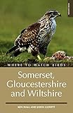  Where to Watch Birds in Somerset, Gloucestershire and Wiltshire