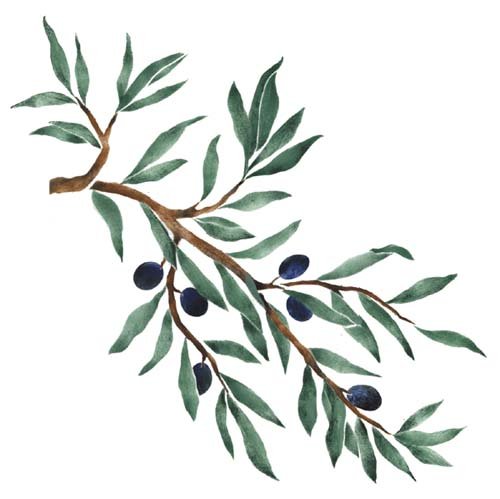 Designer Stencils Olive Tree Branch Wall Stencil