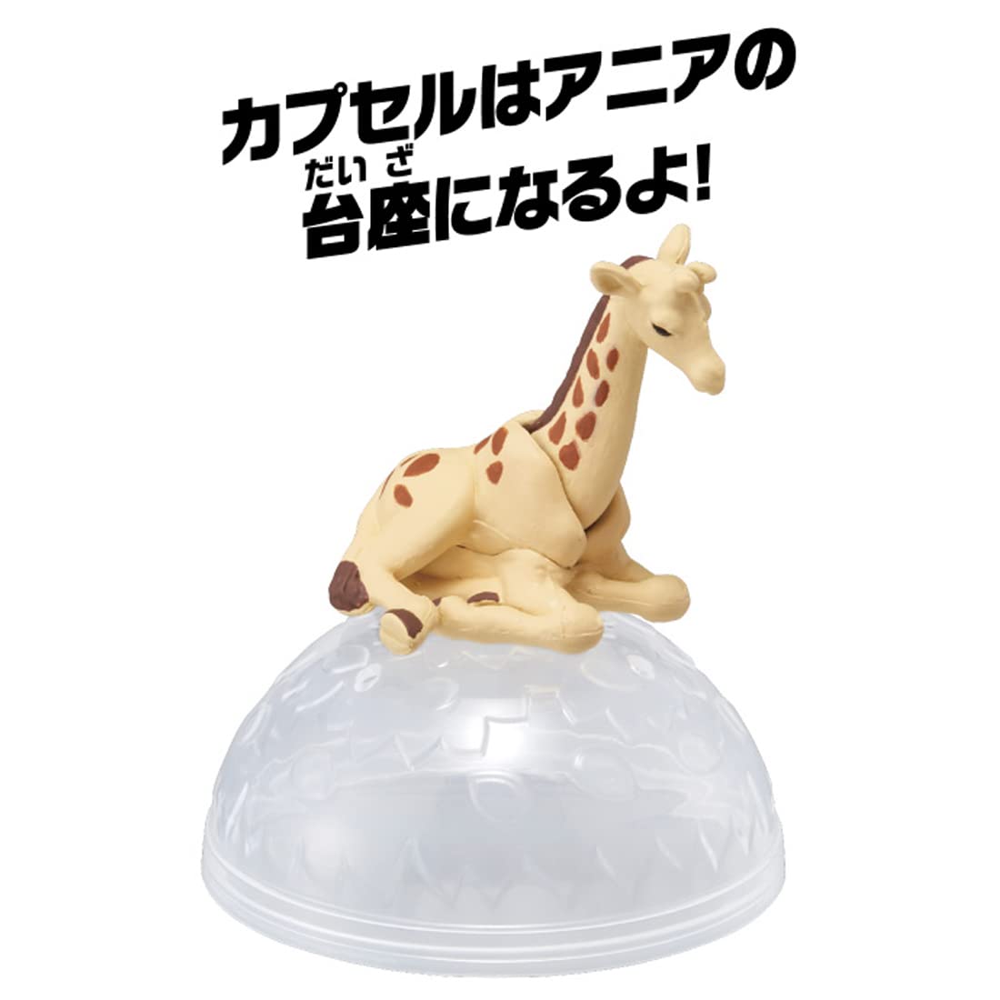 Amazon.co.jp: タカラトミー アニア AC-04 キリン (子ども) 動物 恐竜