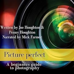 Picture Perfect cover art