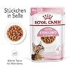 Royal Canin Kitten Sterilised Gravy Yavru Kedi Konservesi, 85 g