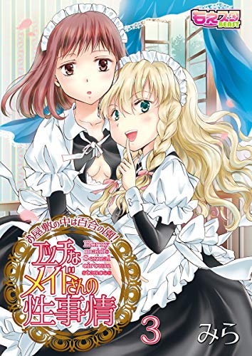 PDFダウンロード エッチなメイドさんの性事情~お屋敷の中は百合の園!(3) (もえスタビ バイ