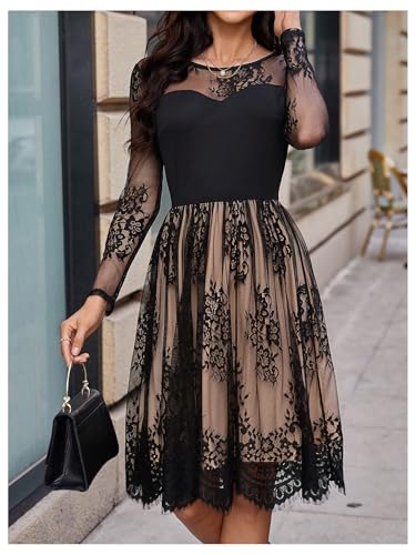 Floerns Women's Elegant Overlay Mesh Long Sleeve Scallop Hem Party A Line Dress3
