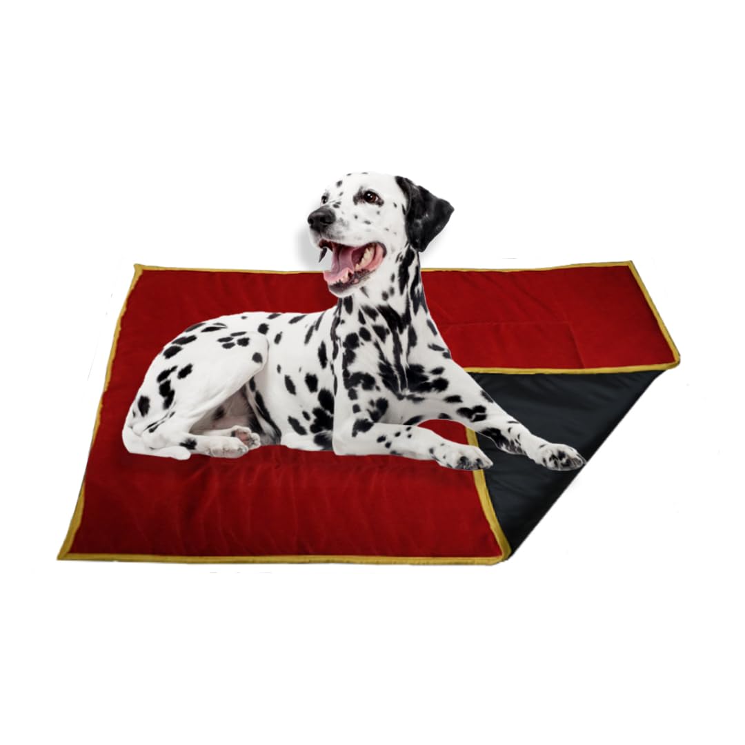I WISH Quilted Pet Bed Mattress | Velvet Smooth | Washable Cozy Pet Bed| Light Weighted Soft Dog Flat Mat (Medium) REd100 x 66 cm (B0CRVKKY1H) Amazon Price History, Amazon Price Tracker