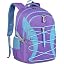 Purple/Blue