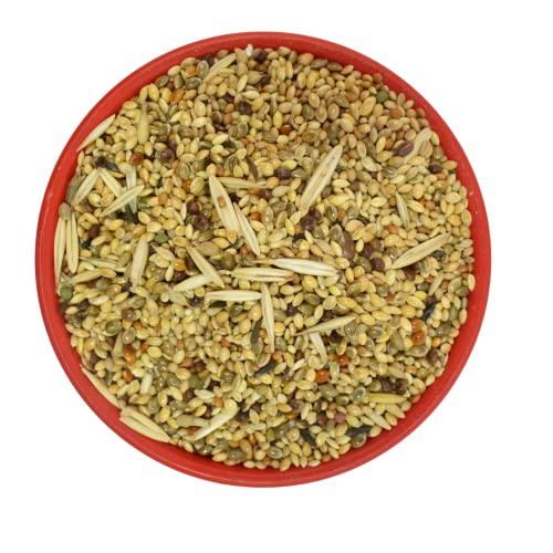 Skybeings-Special-Mix-Bird-Food-1-kg-All-Life-Stages-Dry-Bird-Food-for-Sparrow-Lovebirds-and-Budgies