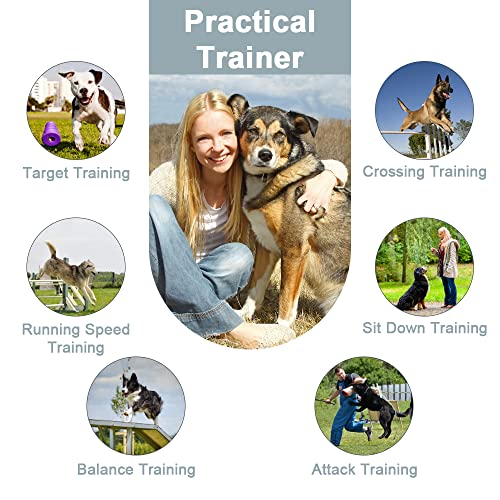 vsshe Hundepfeife,2 Stück Trainingspfeife 2 in 1 Hundeklicker und Pfeife Hunde Clicker Set mit 2 Pfeifenriemen Pfeife für Hunde Hundeerziehung Für Outdoor Camping Sport Hunde Clickertraining (Seil A)
