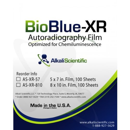 Alkali Scientific ASXR810 Blue BioBlueXR Autoradiography Film Sheet