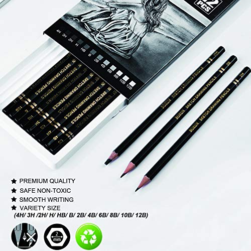 Boxun Artist Sketching Pencils Set - Professional 12 Pieces Drawing Pencils 12B, 10B, 8B, 6B, 4B, 2B, B, Hb, H, 2H, 3H, 4H Graphite Shading Pencils For Beginners And Students #TOP1