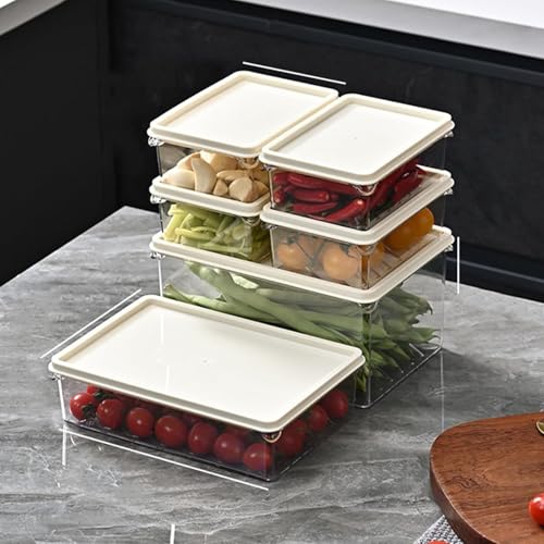 密閉容器フラットフラット冷蔵庫タッパーPP家庭用食品収納ケース密閉キッチン弁当箱冷蔵庫食品冷凍専用 透明 キャニスター 野菜/果物/間食収納 収納ケース 冷凍 耐熱 食品保存容器 冷蔵庫用 キッチンボックス 蓋付き 2点セット 積み重ね収納便利 密封 鮮度